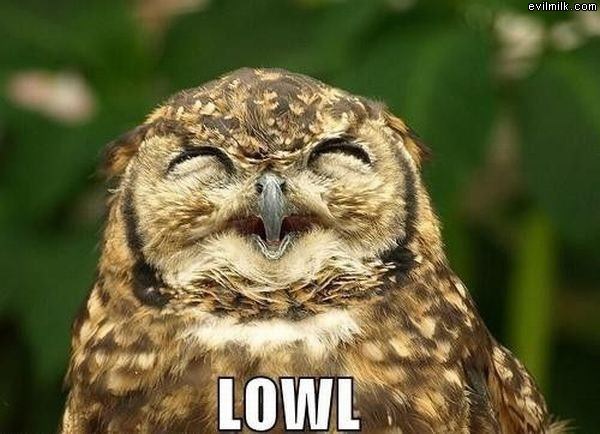 Lowl