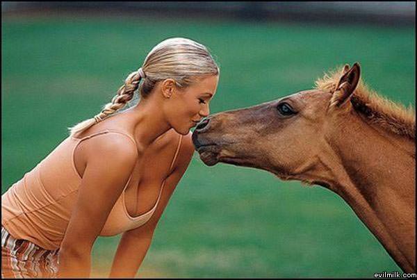 Luckiest Horse Ever