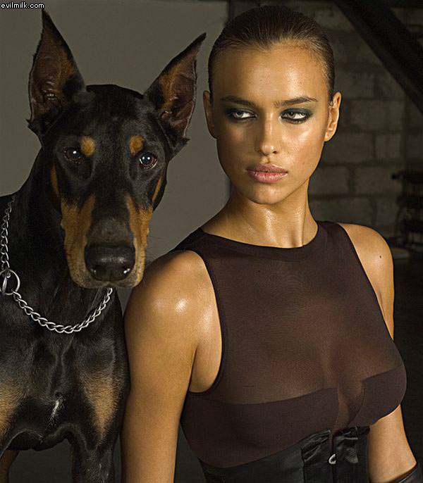 Lucky Dog