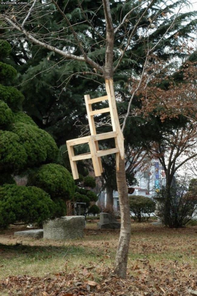 Made A Chair