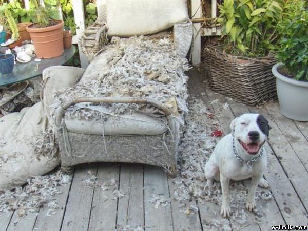 Made Your Bed