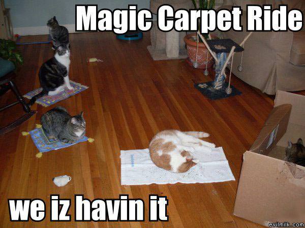 Magic Carpet Ride