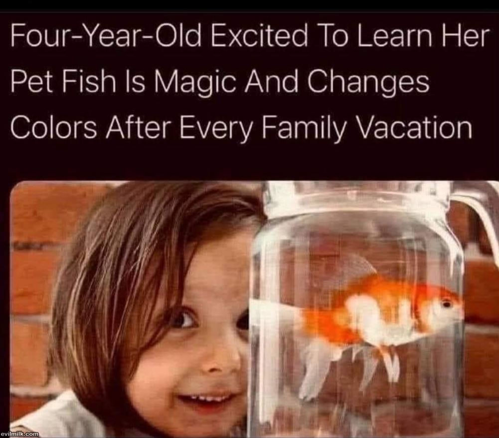 Magic Fish