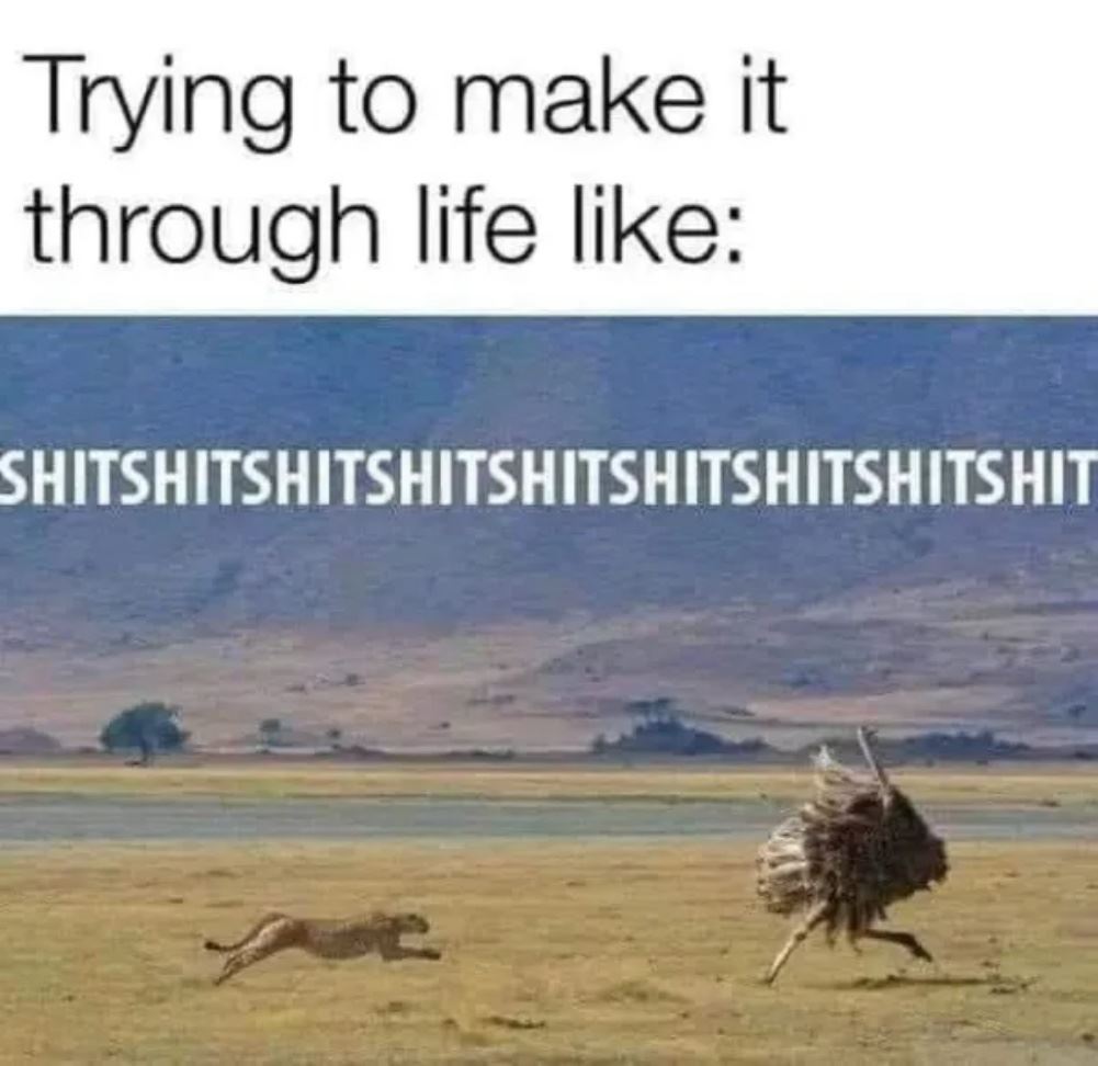 Make It Through Life