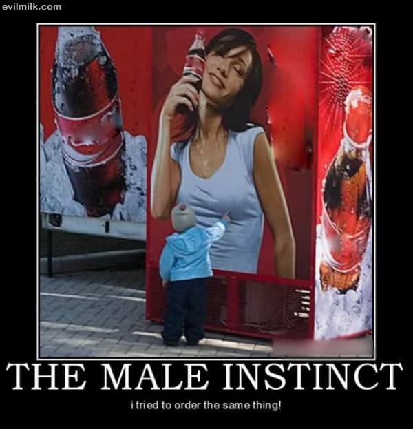 Male Instinct