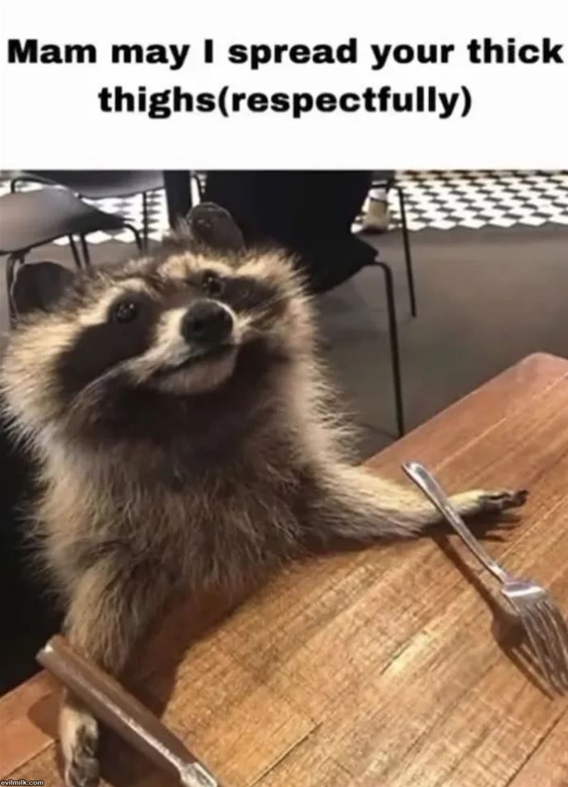 Mam
