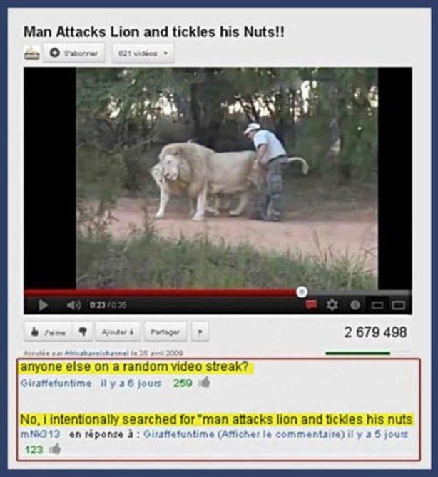 Man Attacks Lions