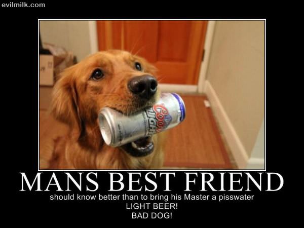 Mans Best Friend