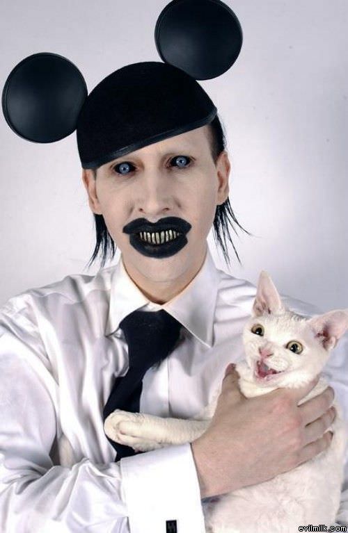 Mansons Cat
