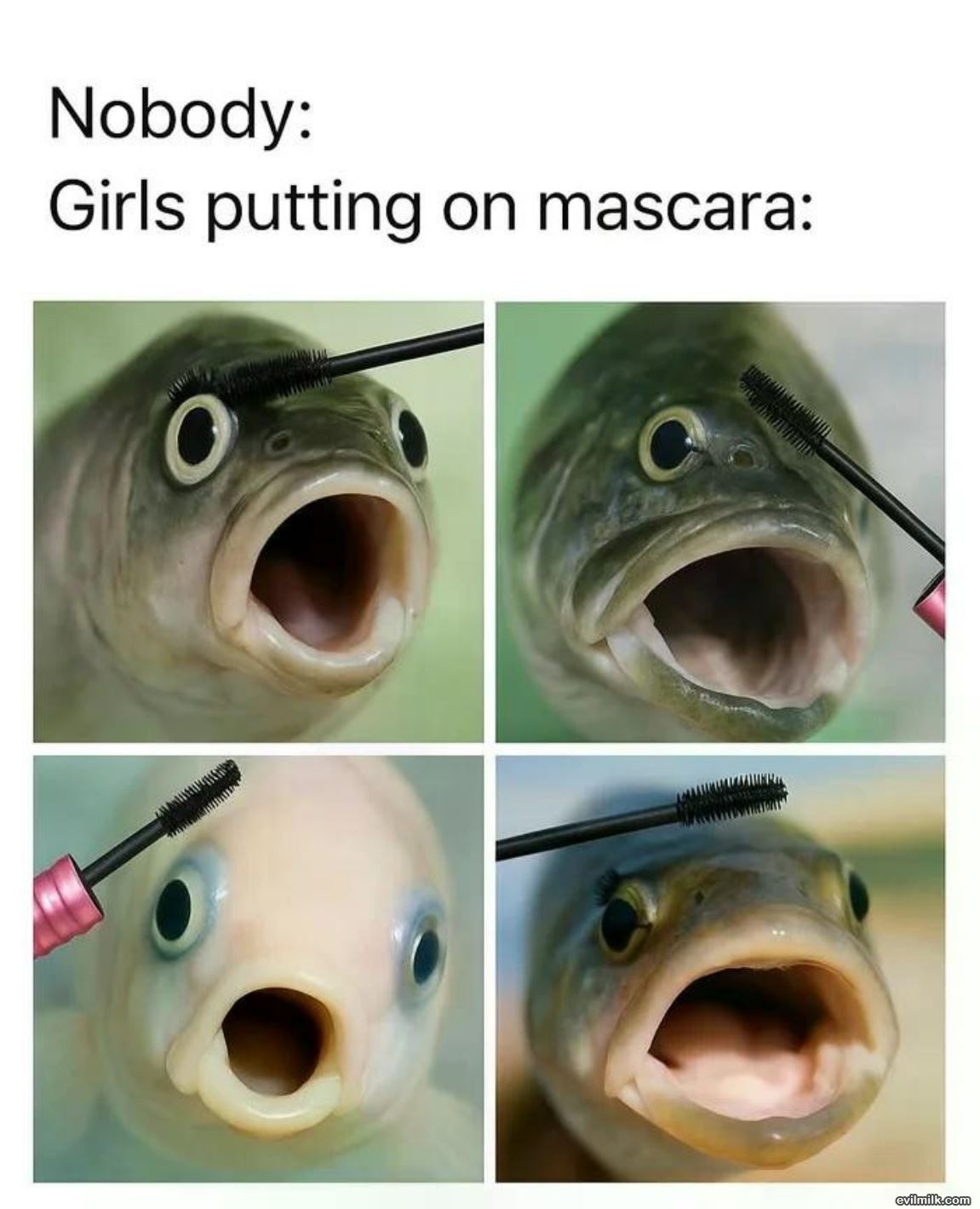 Mascara
