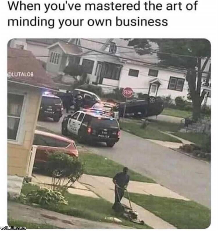 Mastered The Art
