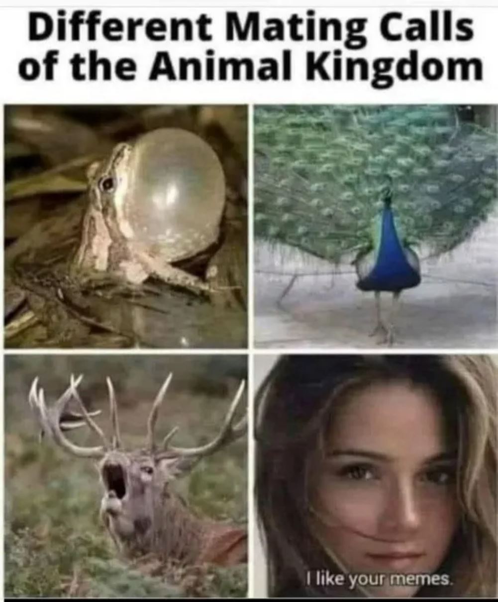 Mating Calls