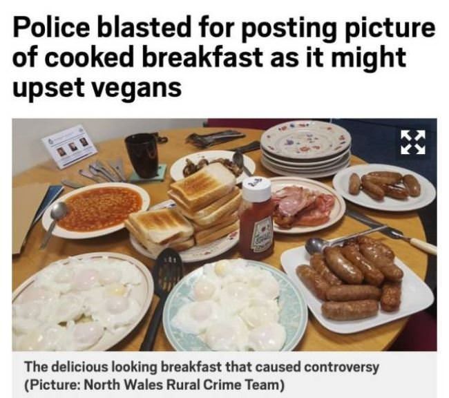 May Upset Vegans