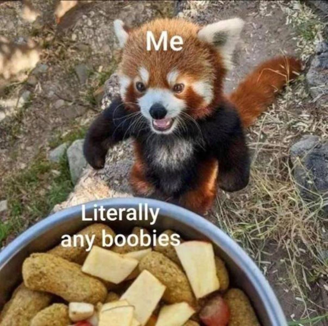 Me
