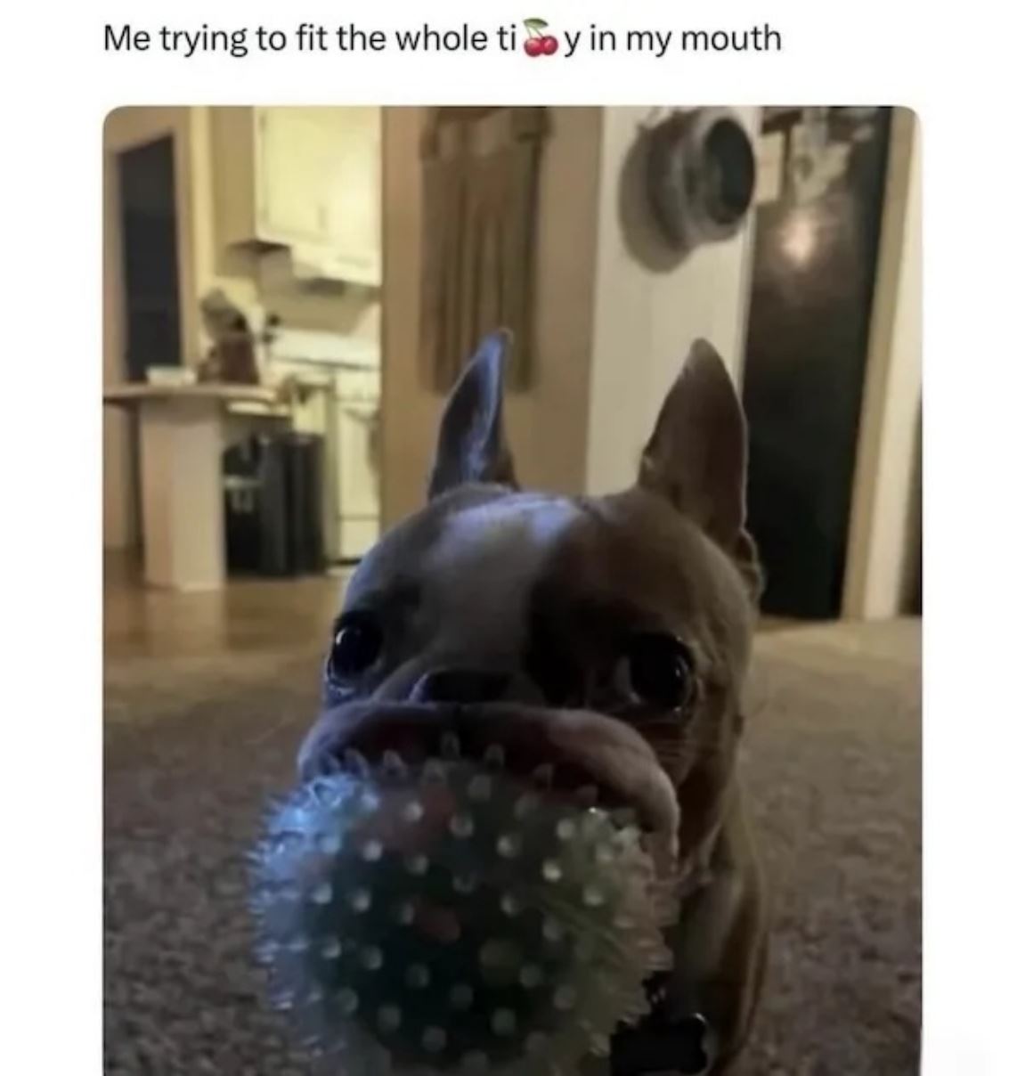 Me