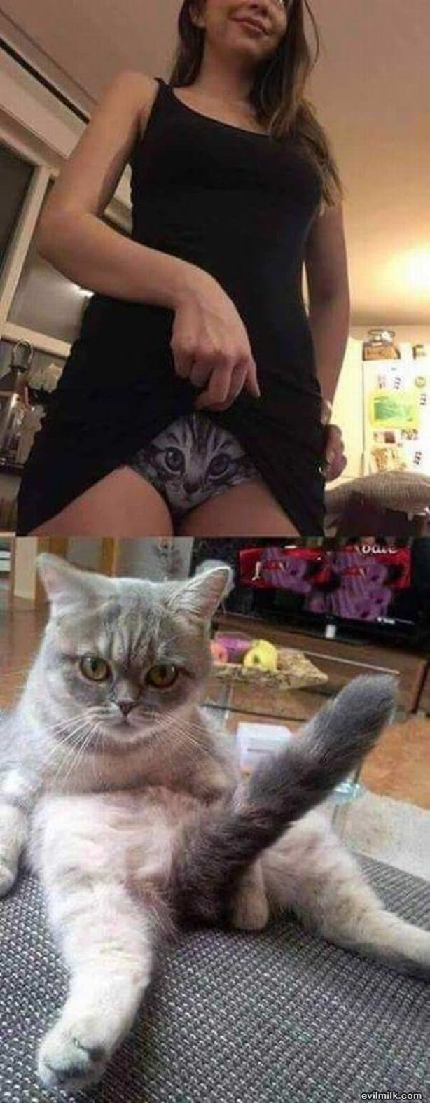 Me Ow