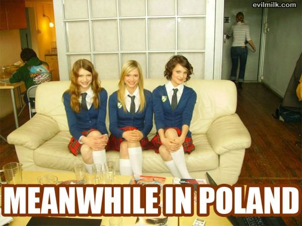 Meanwhile