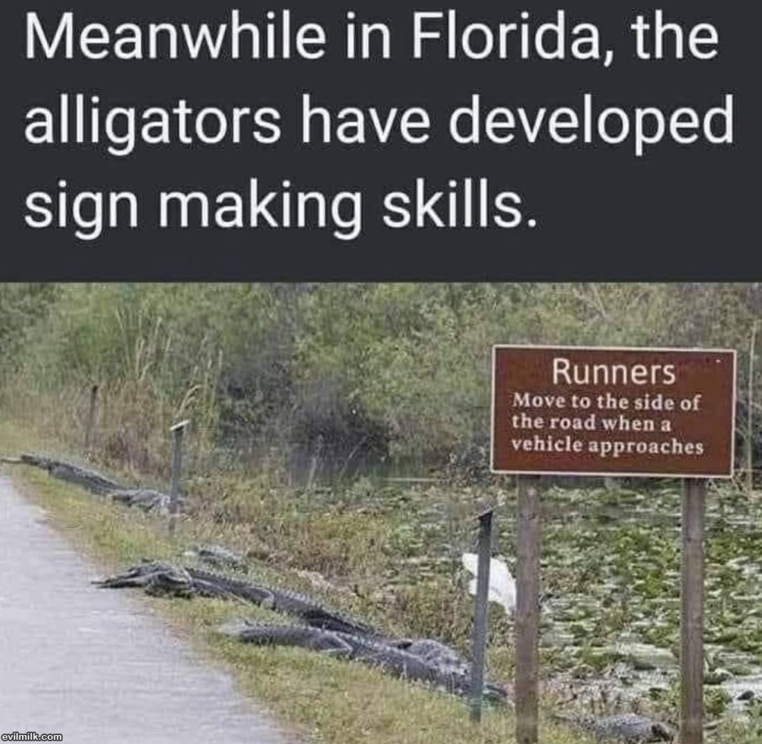 Meanwhile In Florida