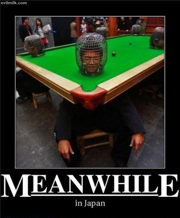 Meanwhile In Japan