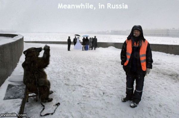 Meanwhile In Russia