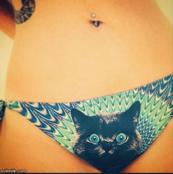 Meow