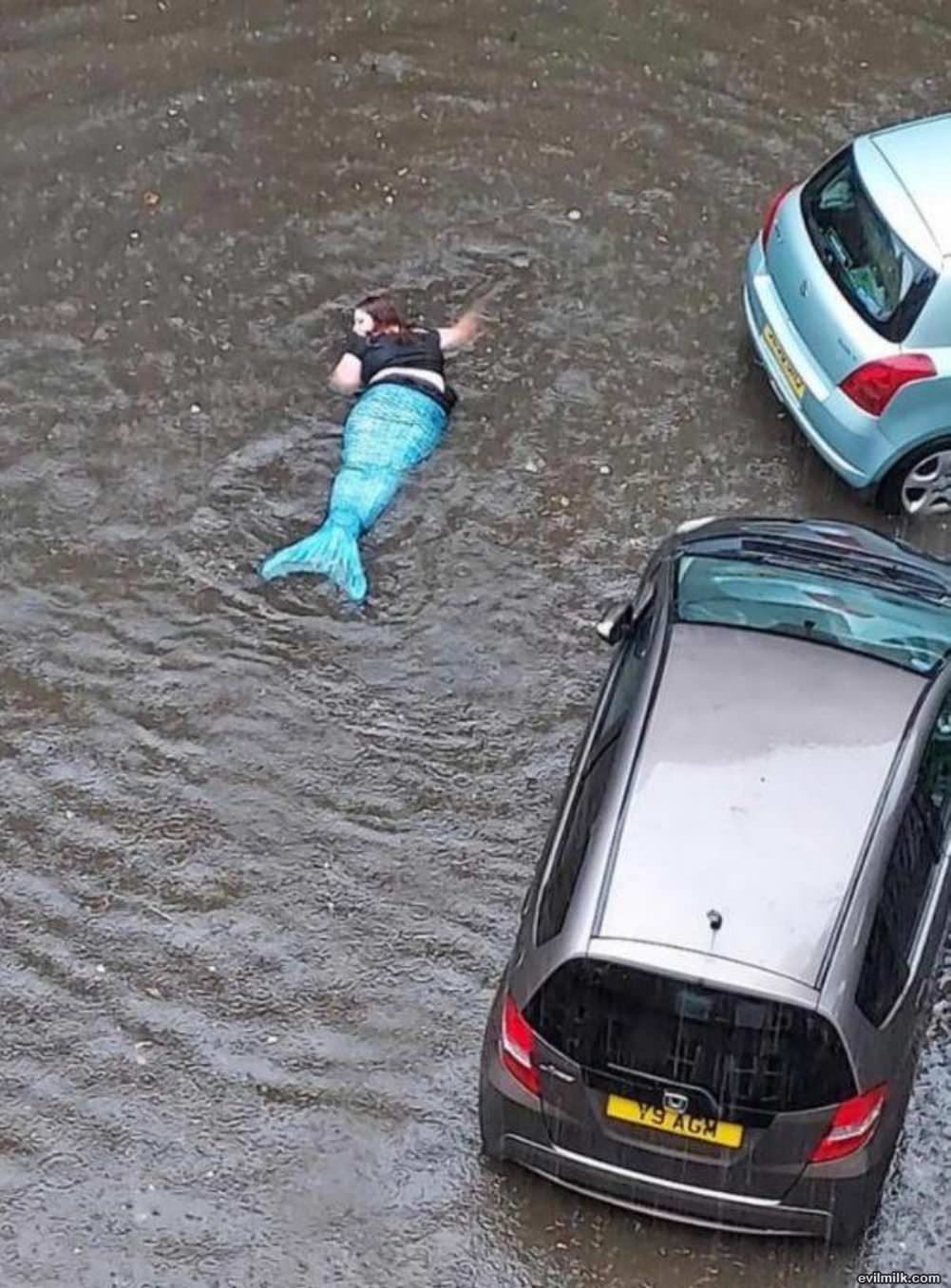 Mermaids Are Washing Up