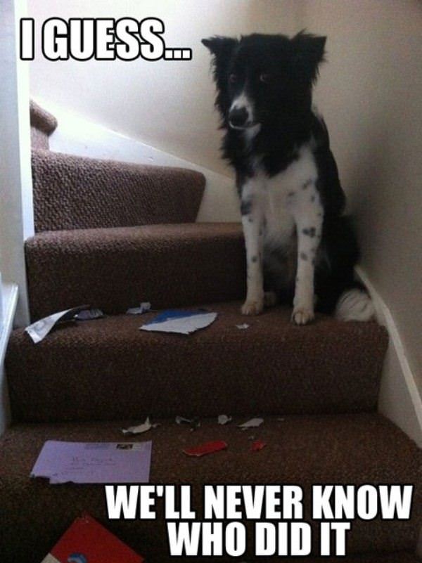 Might Never Know