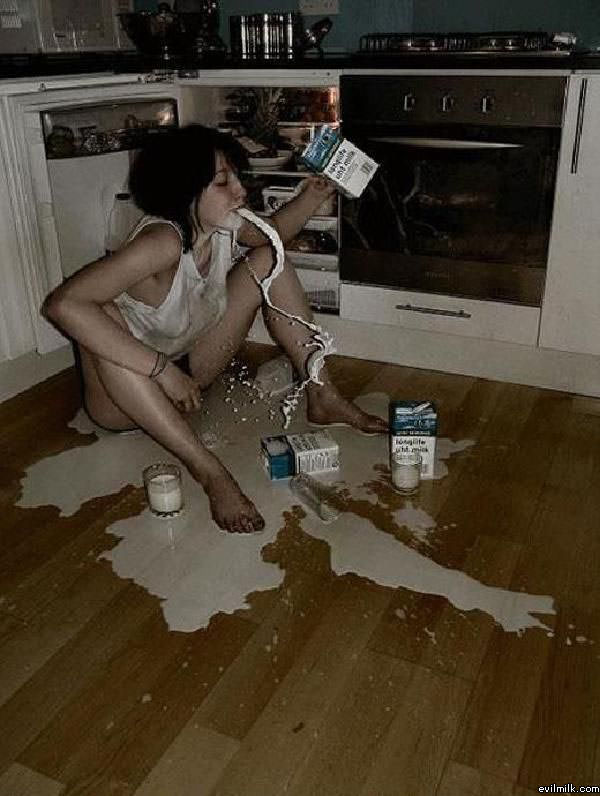 Milk Lover