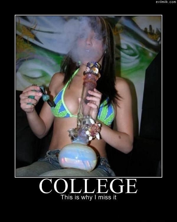 Miss College
