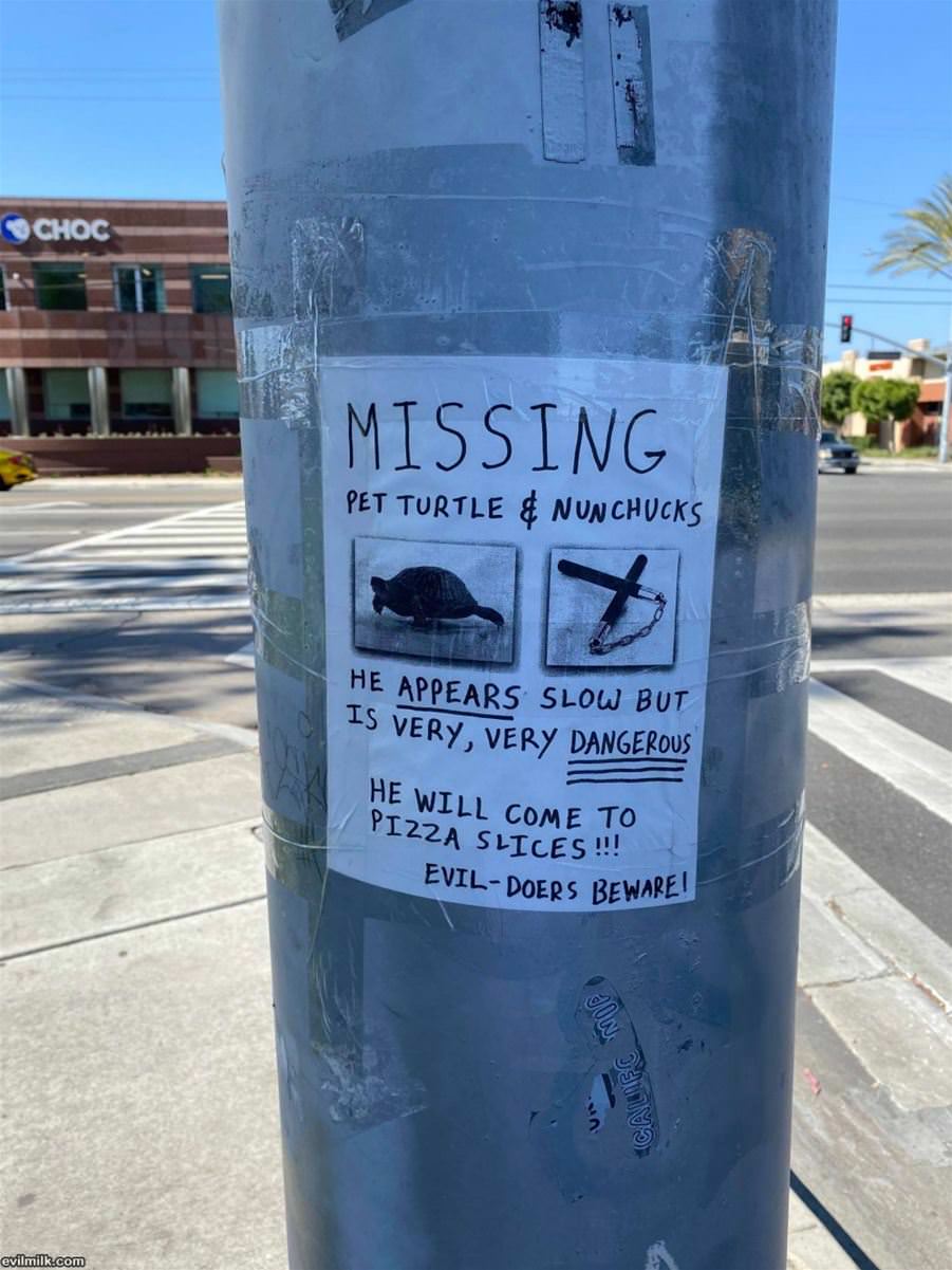 Missing