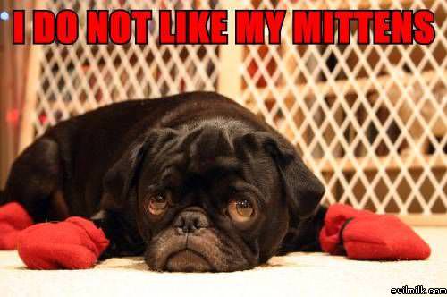 Mittens