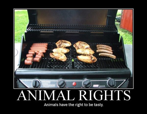 Mmmm Animals