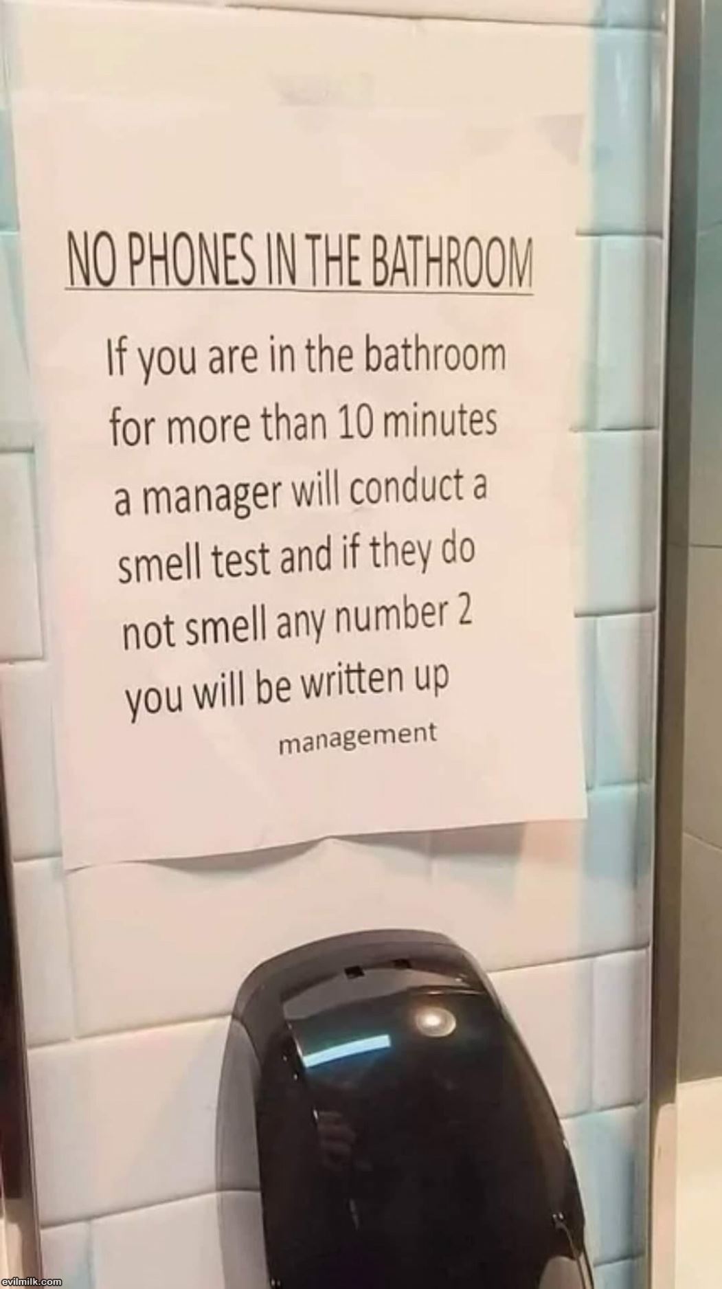 Mnagement