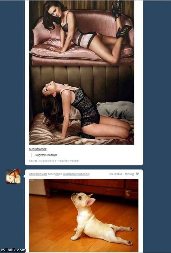 Models