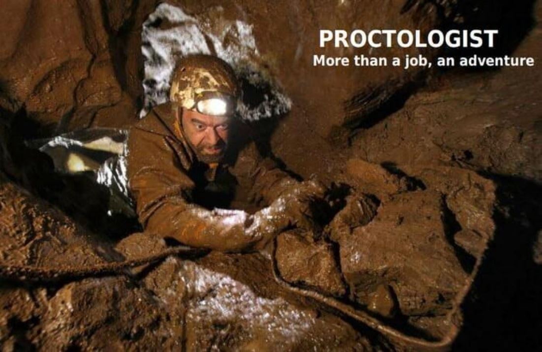 More Than A Job