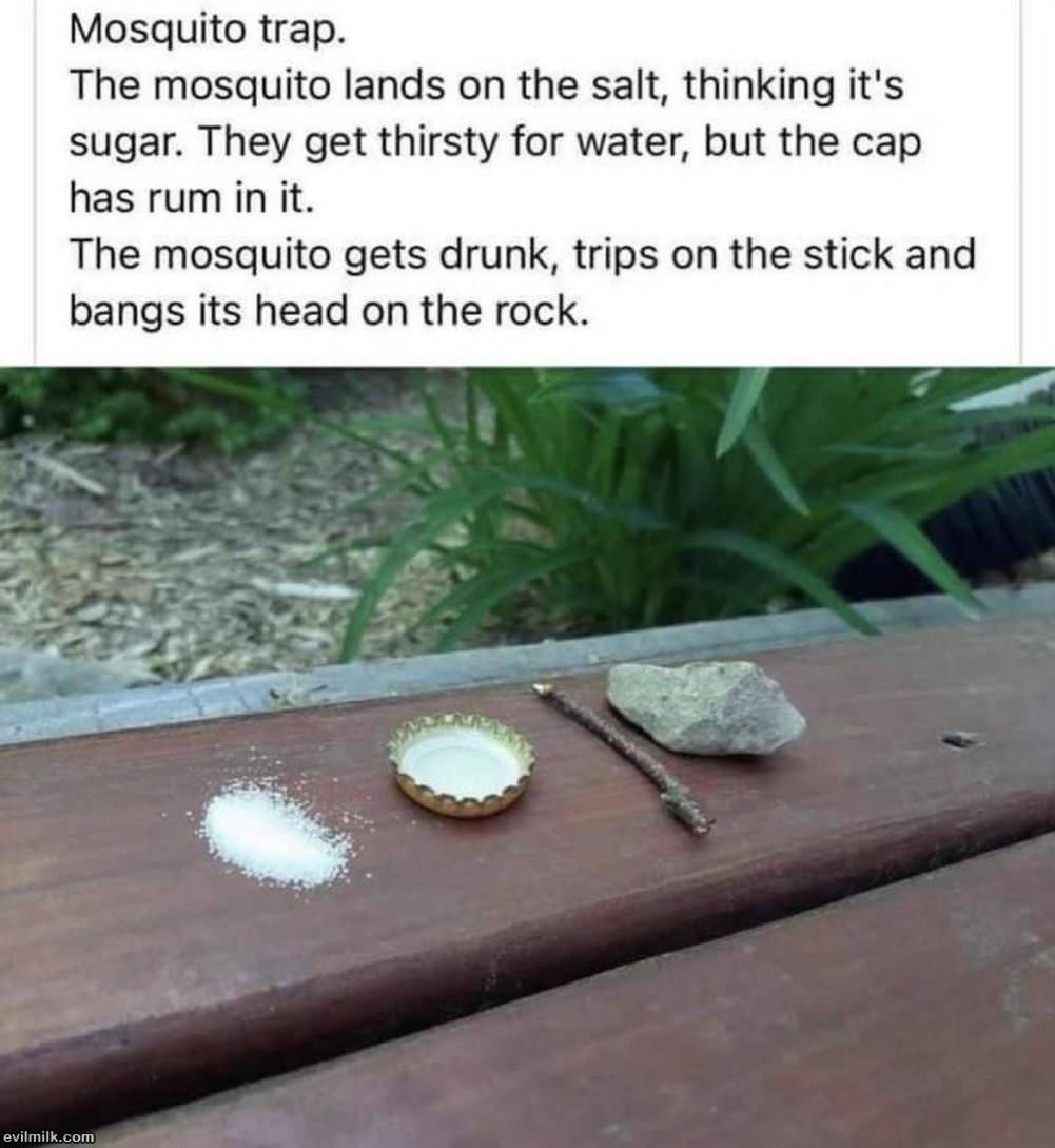 Mosquito Trap