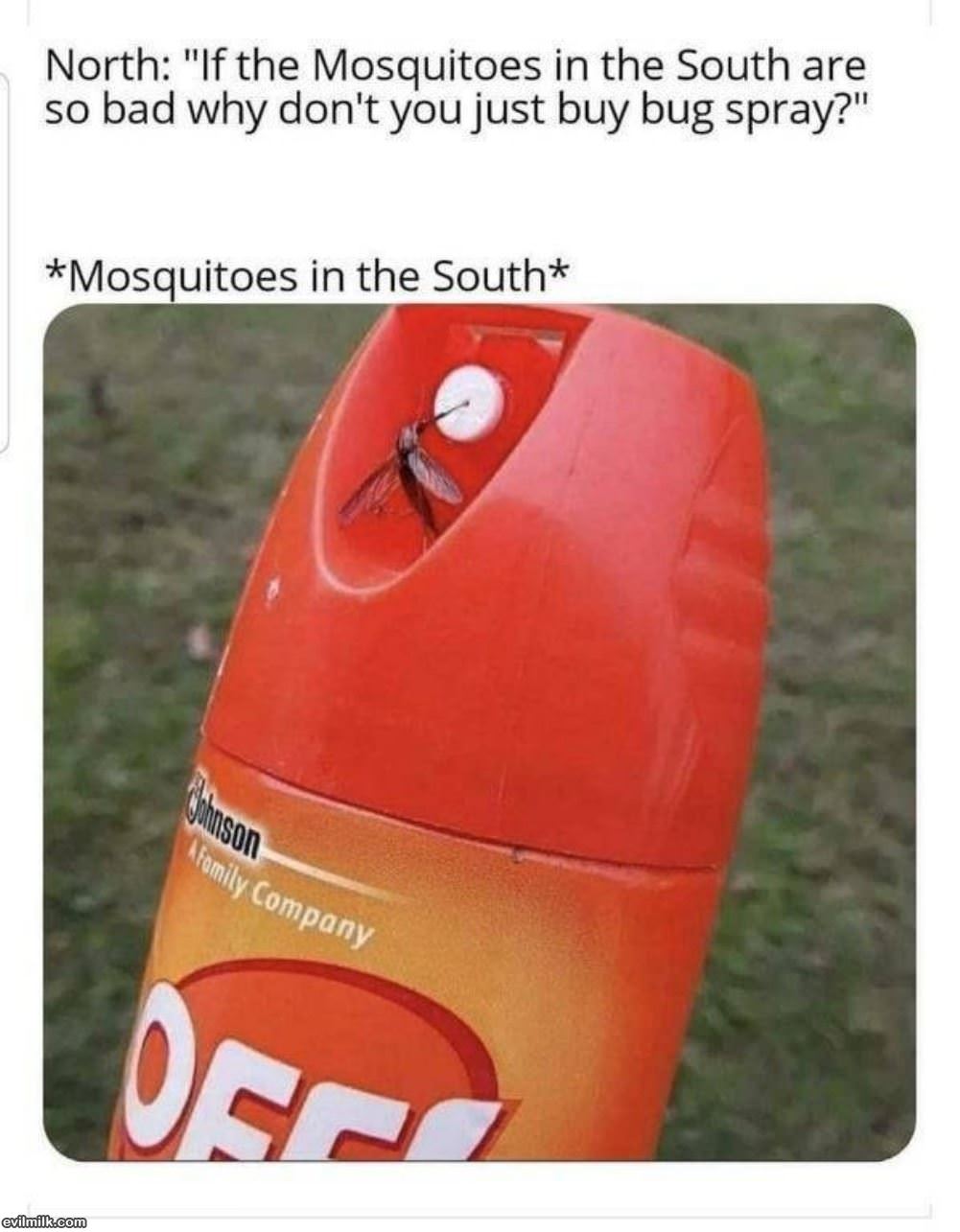 Mosquitos In The South