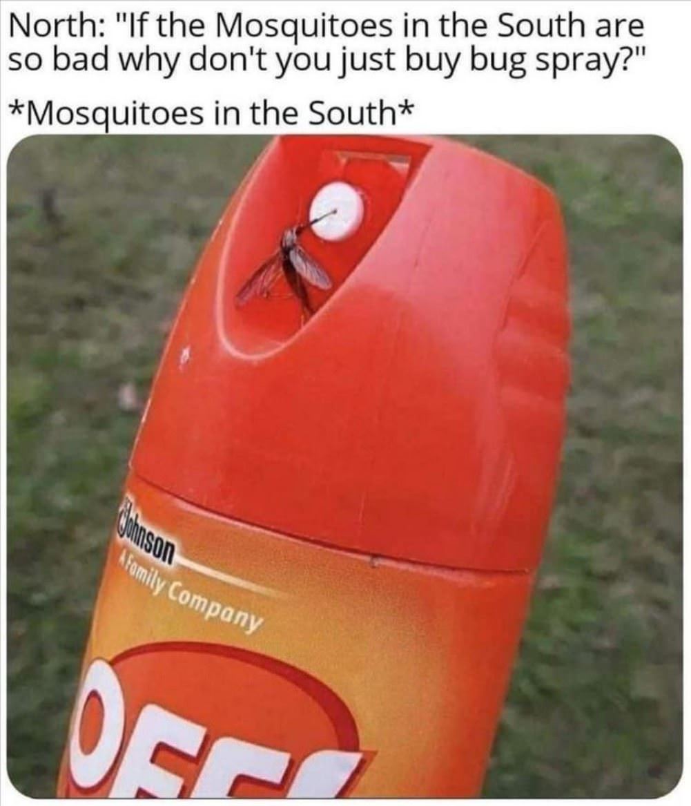 Mosquitos In The South