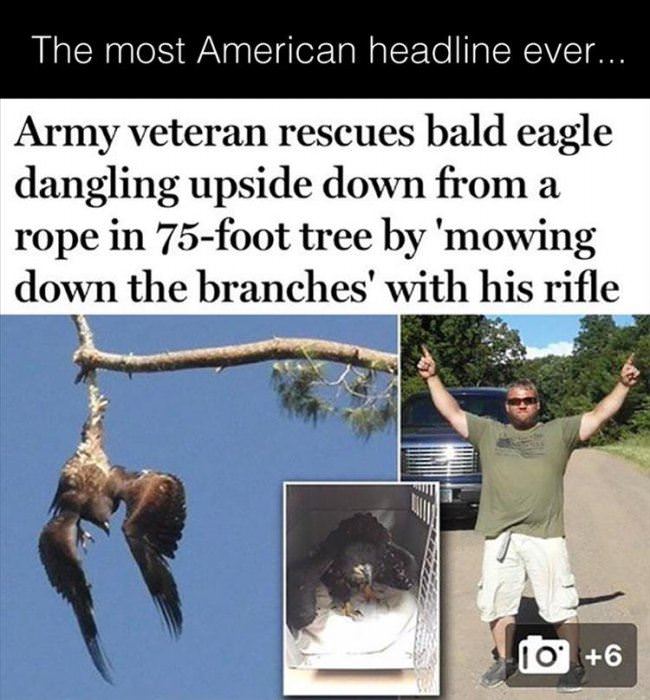 Most American Headline