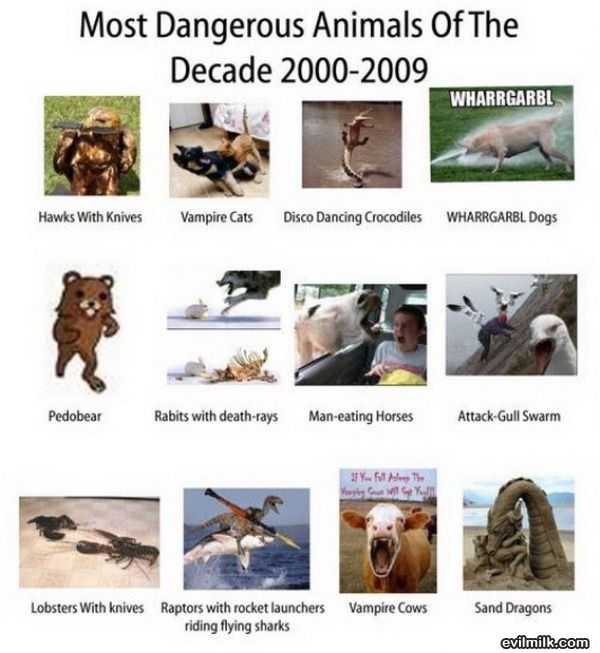 Most Dangerous Animals