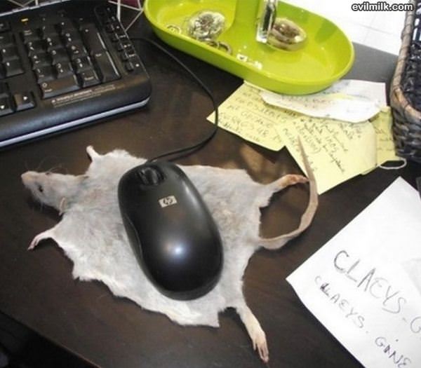 Mouse Pad