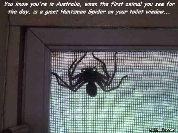 Moving To Australia