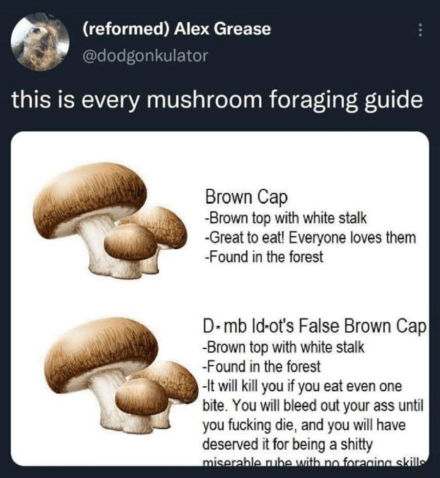 Mushroom Guide