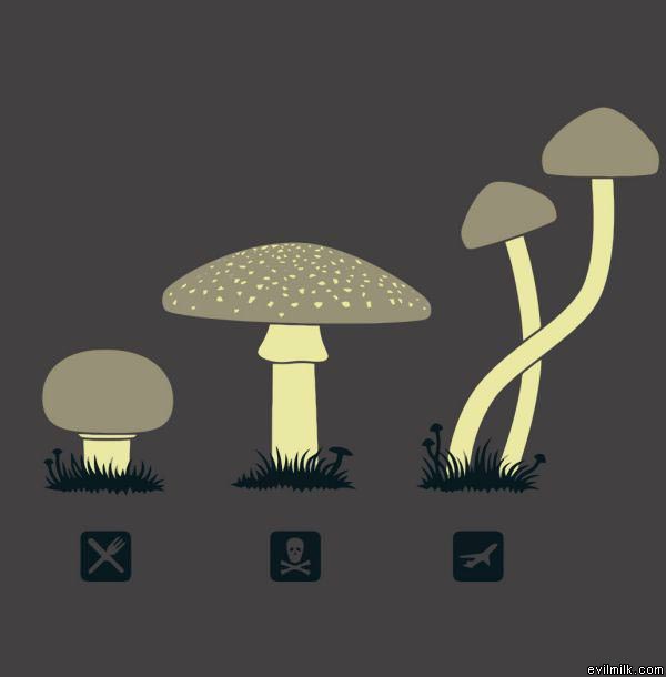 Mushrooms