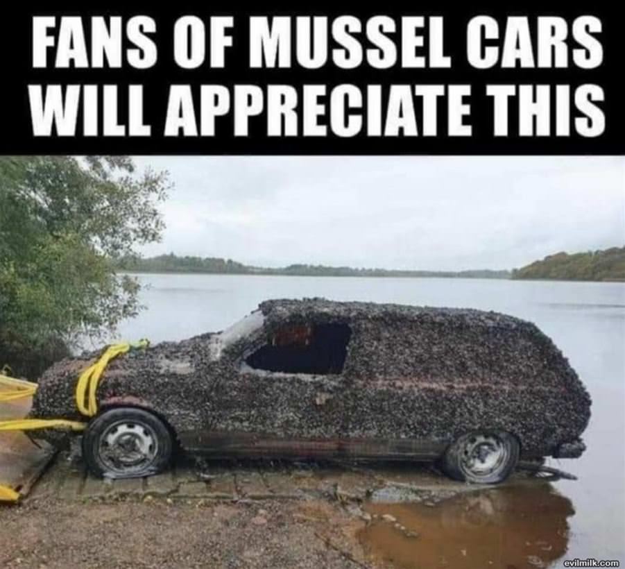 Mussel Cars