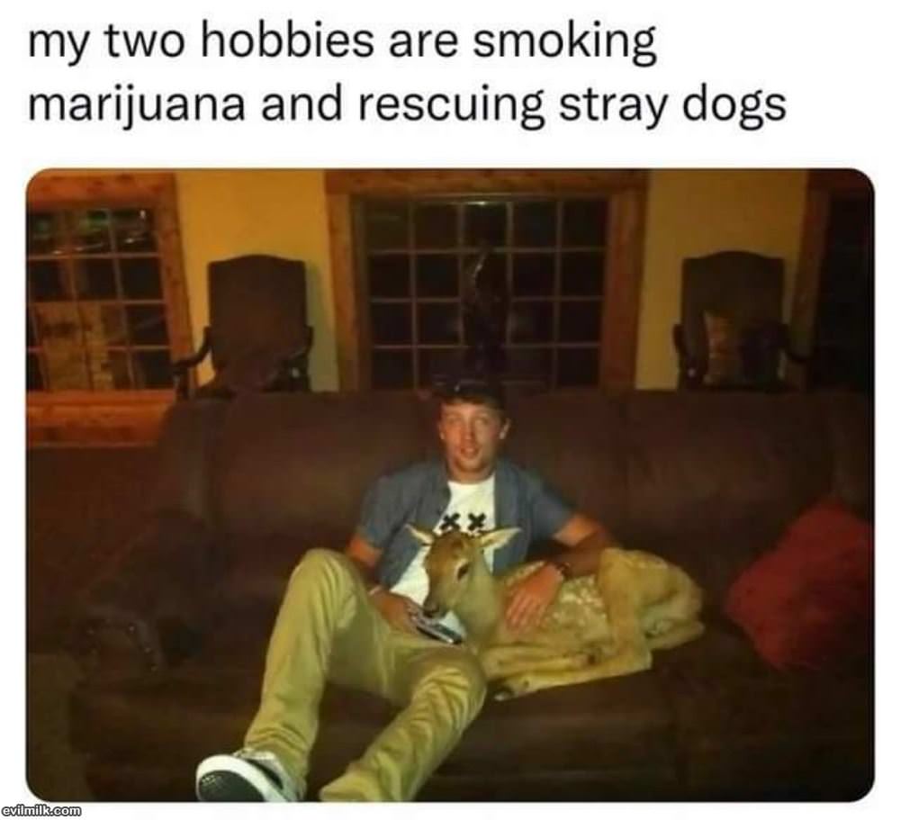 My 2 Favorite Hobbies