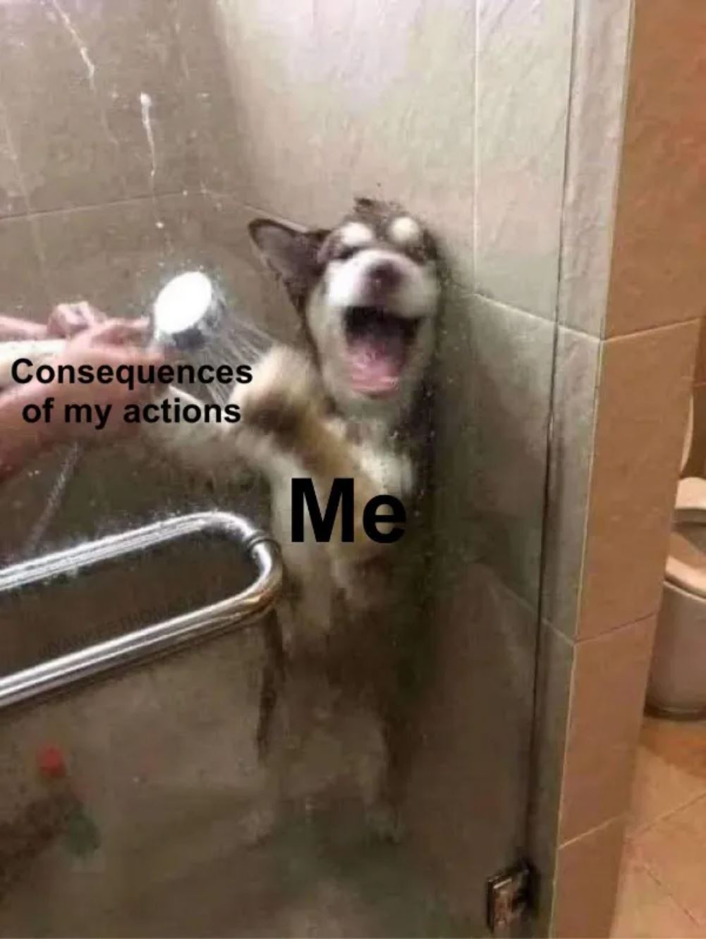 My Actions
