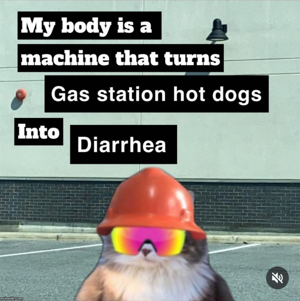 My Body