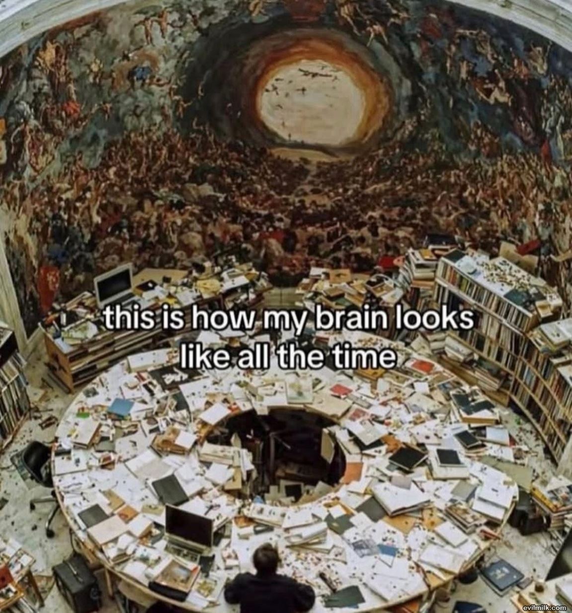 My Brain