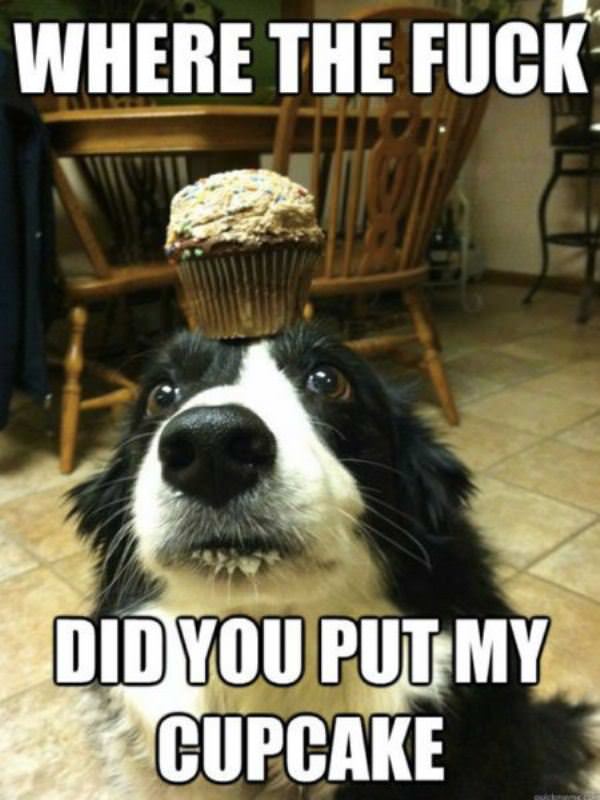 My Cupcake